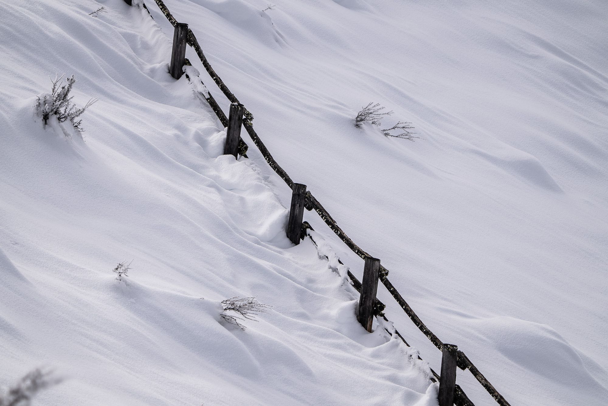 snowy fence