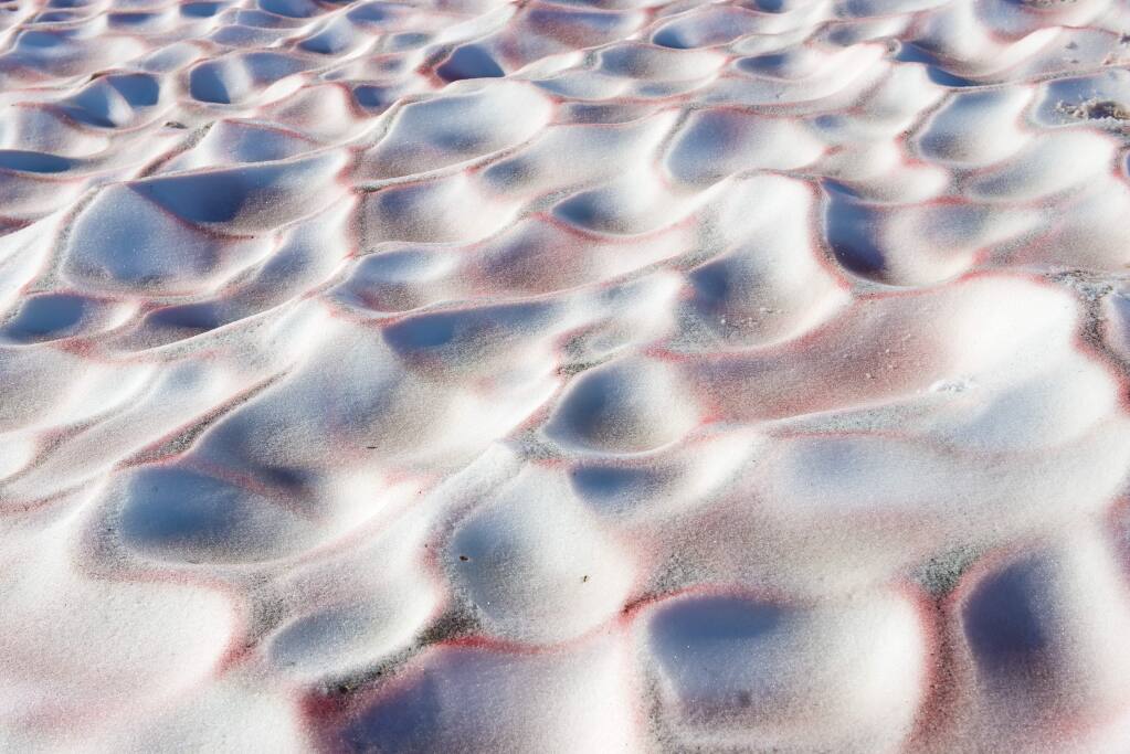 watermelon snow