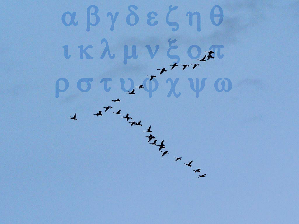 Sandhill cranes and Greek alphabet