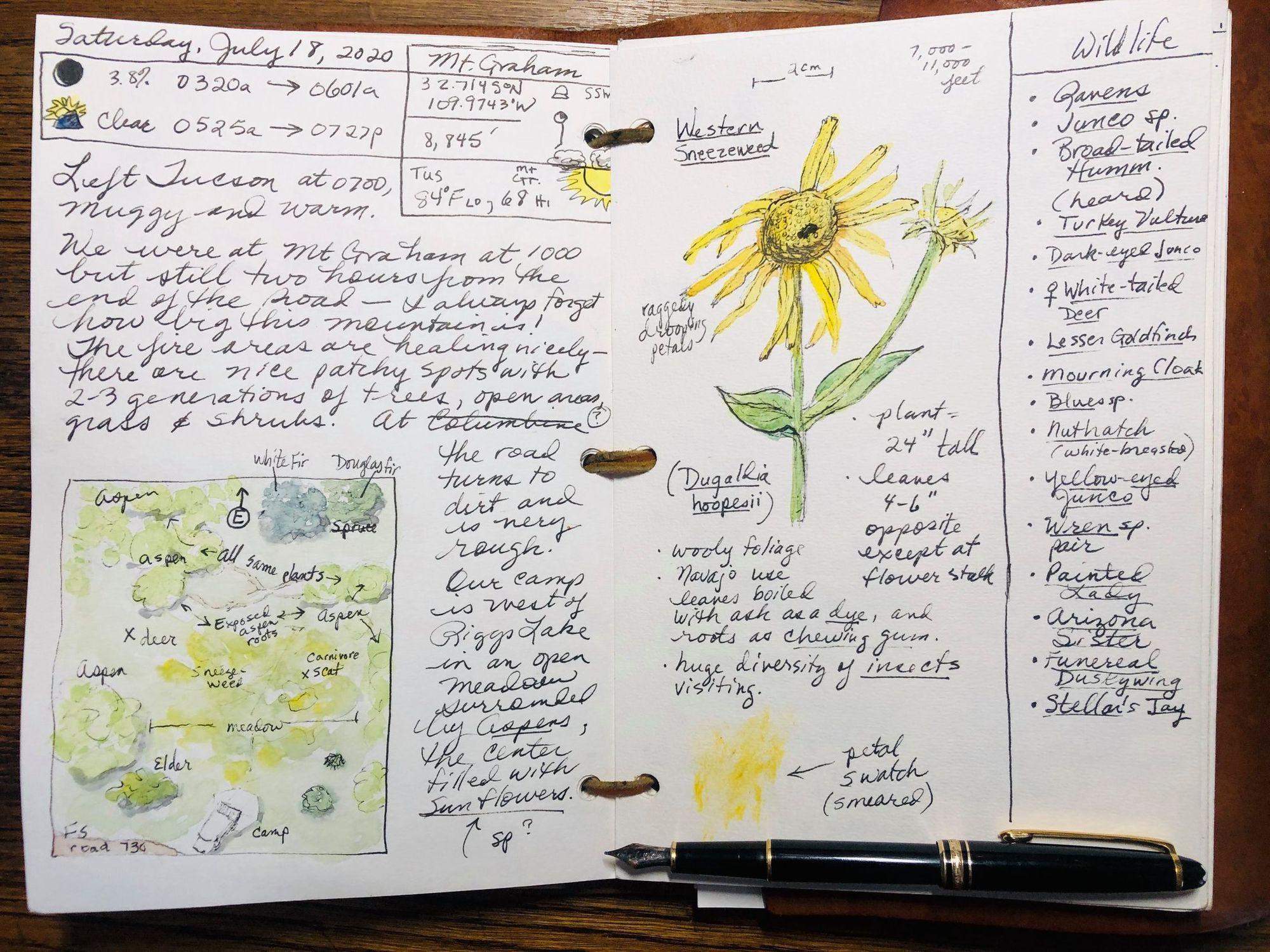 sample nature journal