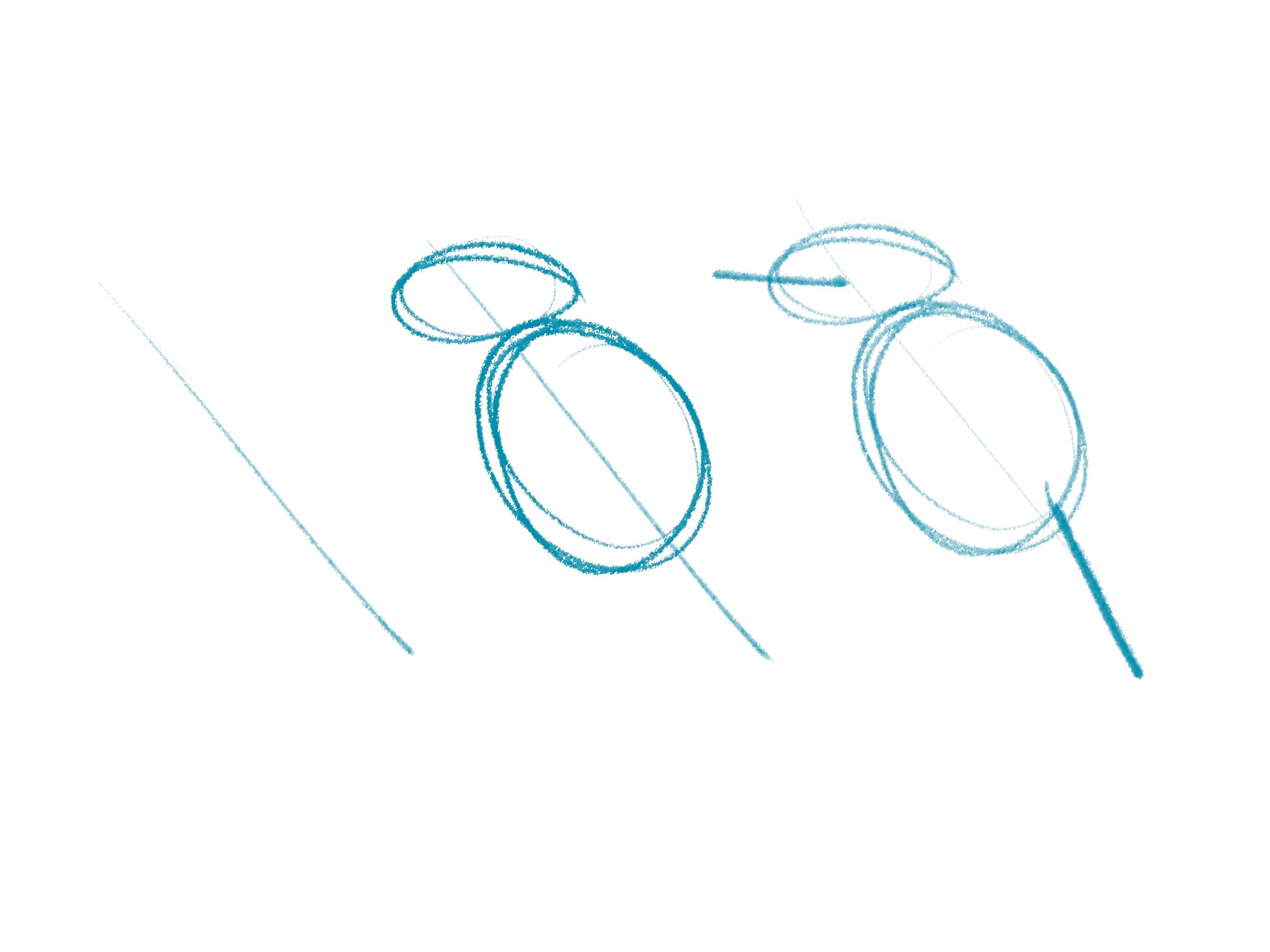 simple bird sketch