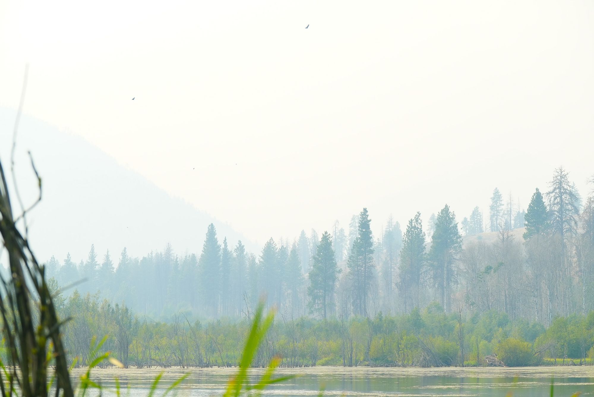 wildfire smoke over pond