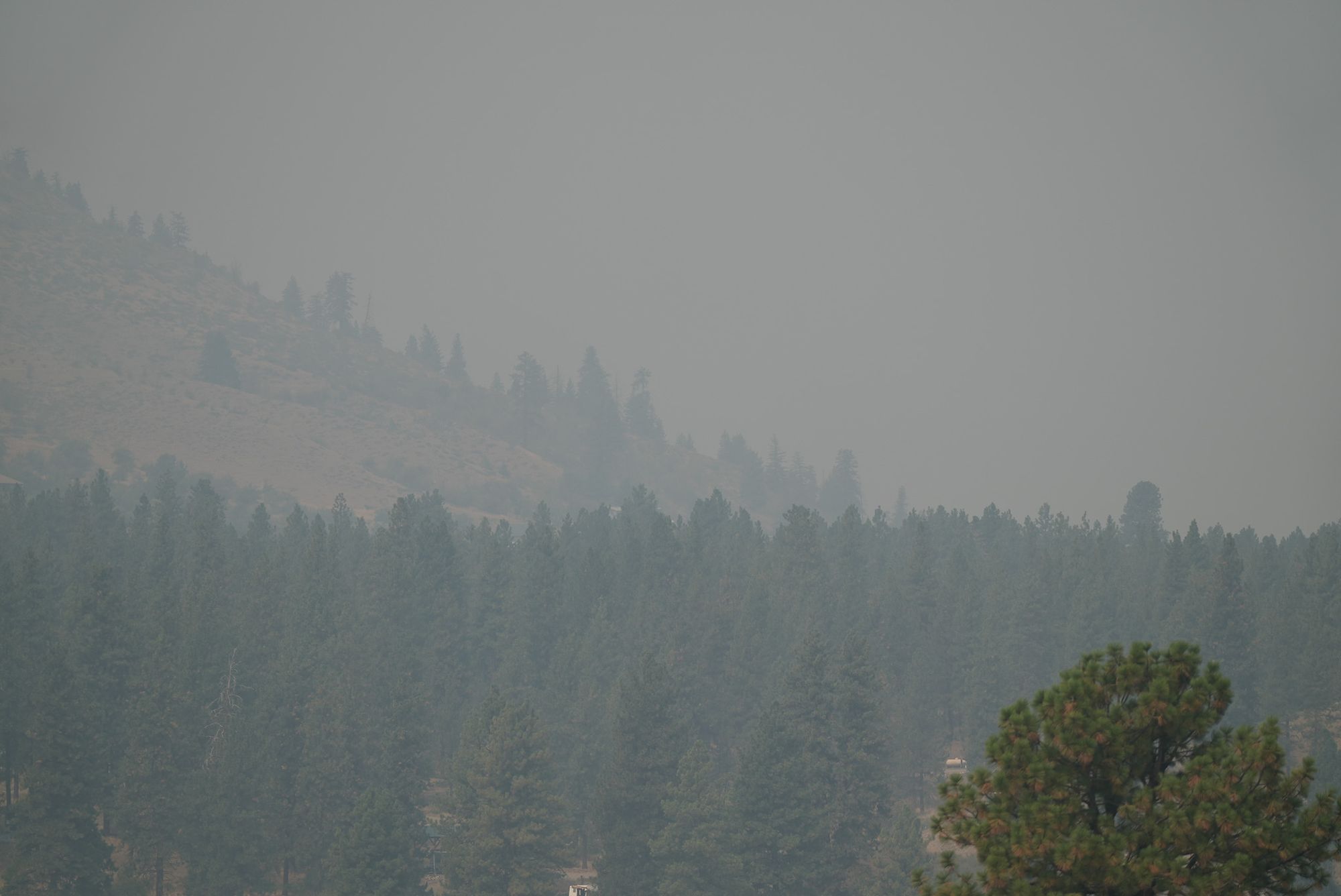 wildfire smoke