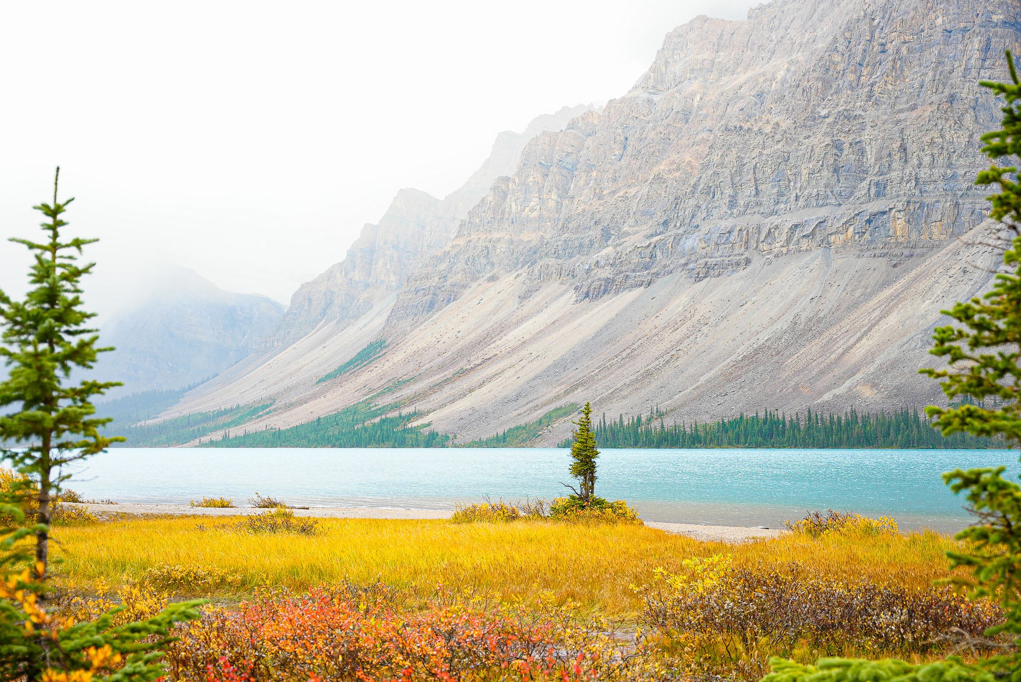 Banff National Park