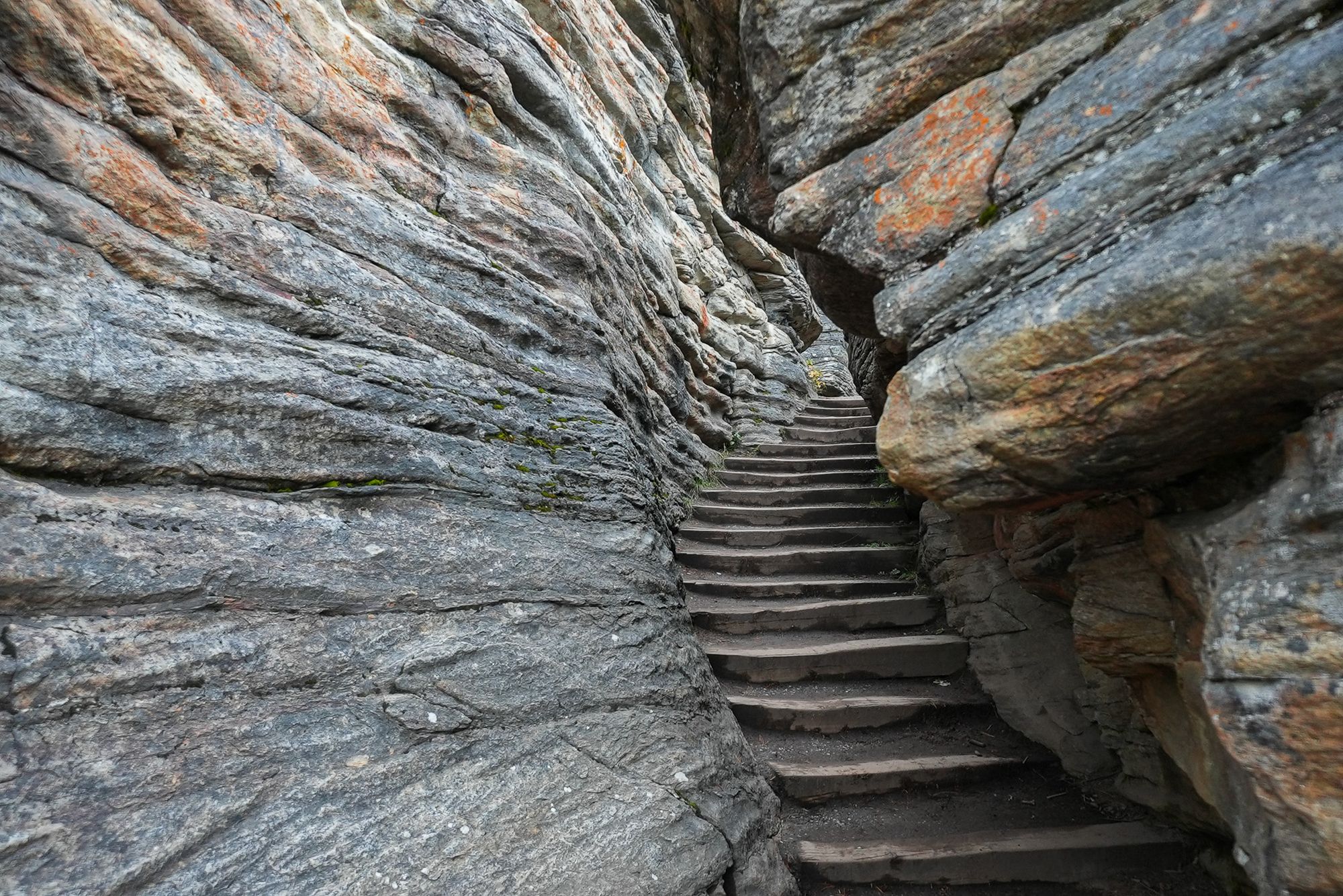 rocky trail