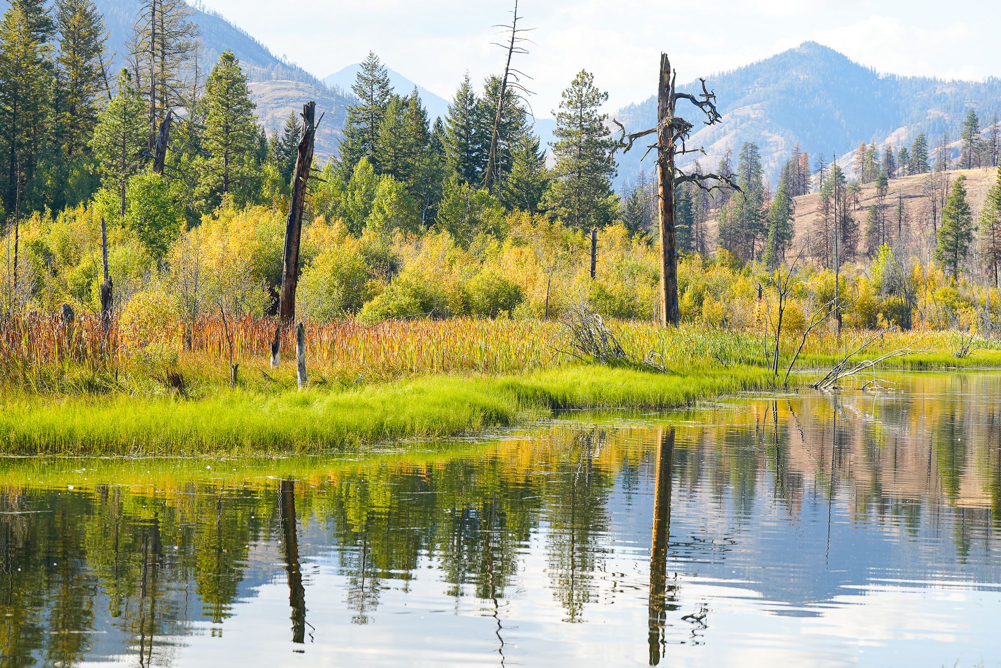 fall colors at a lake