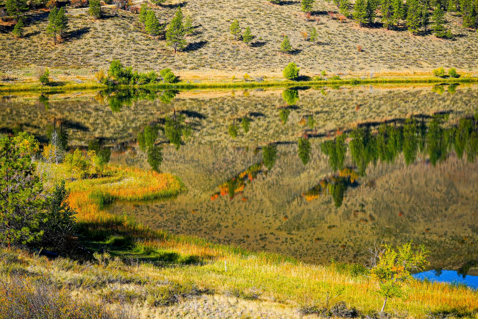 fall colors on a lake