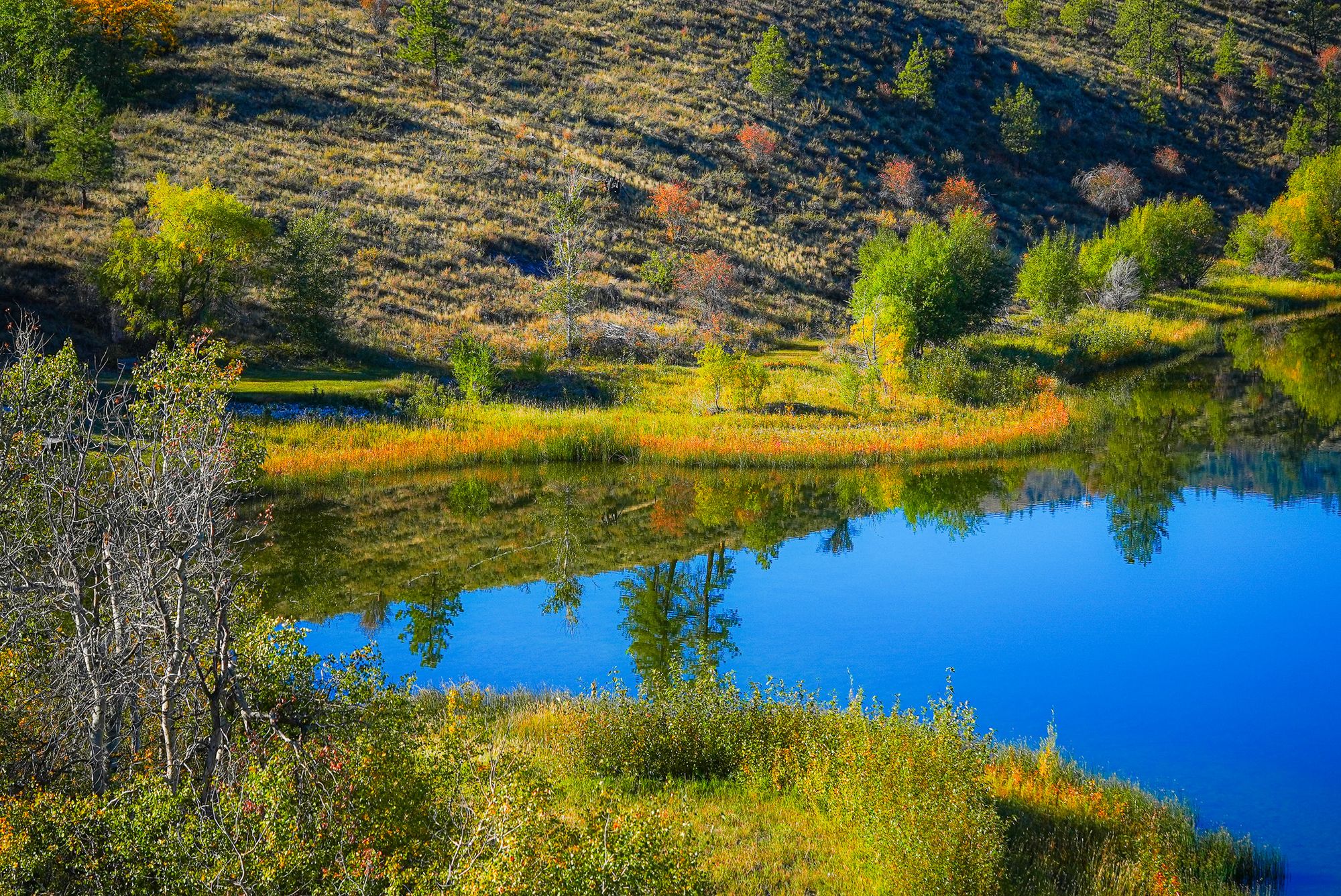 fall color on a lake