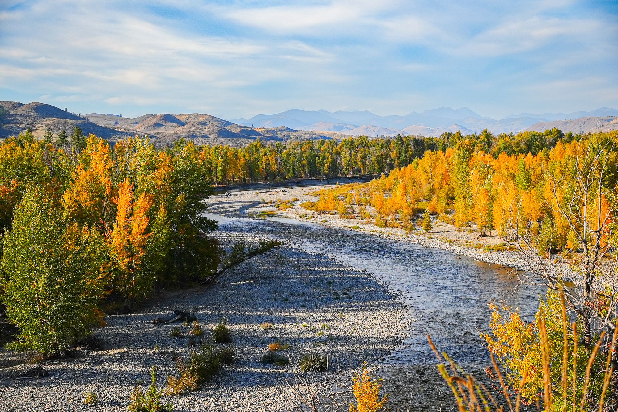 fall colors along a river