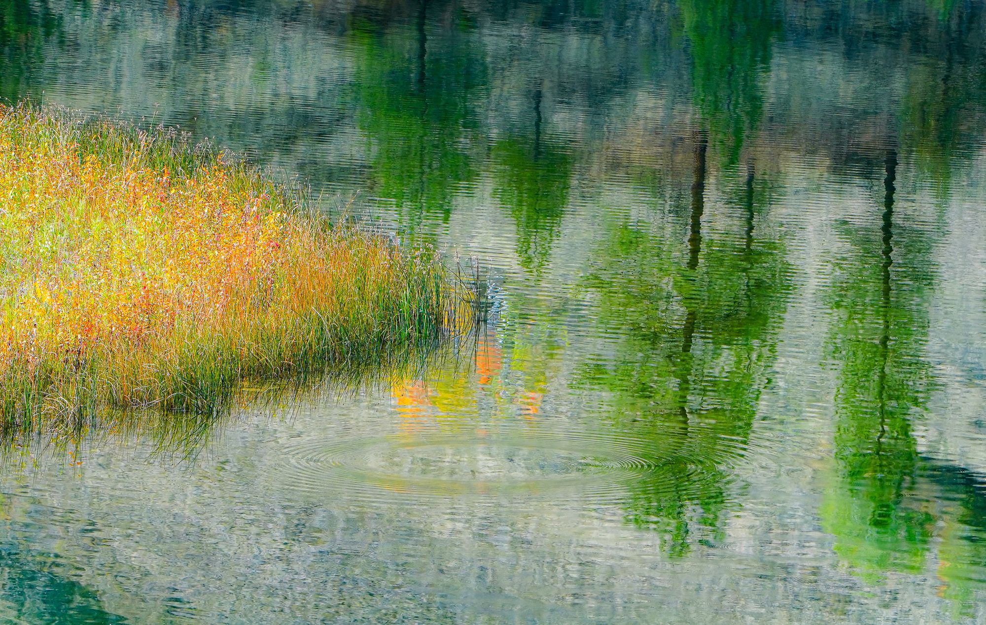 fall colors on a lake