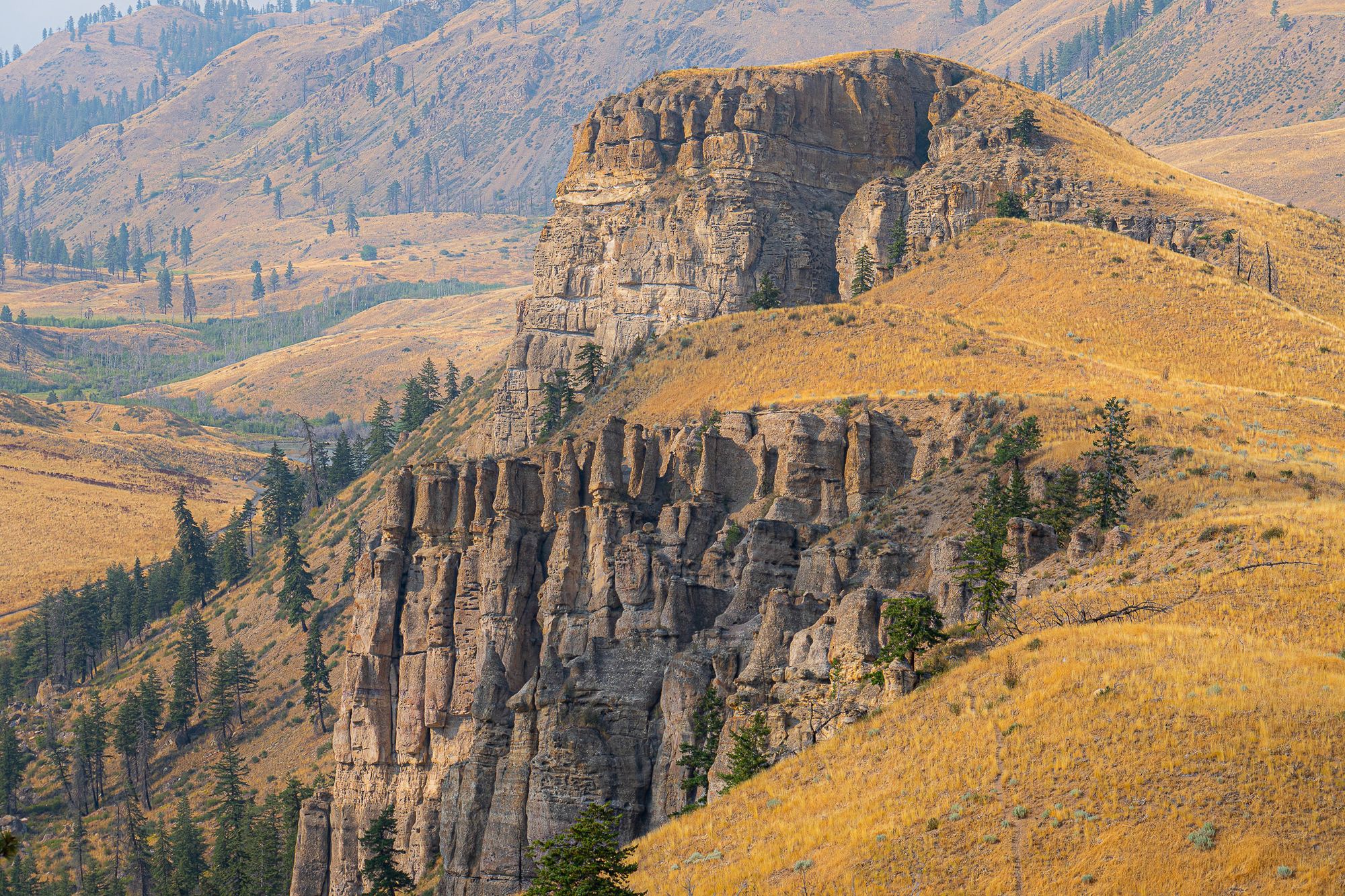 fall landscape