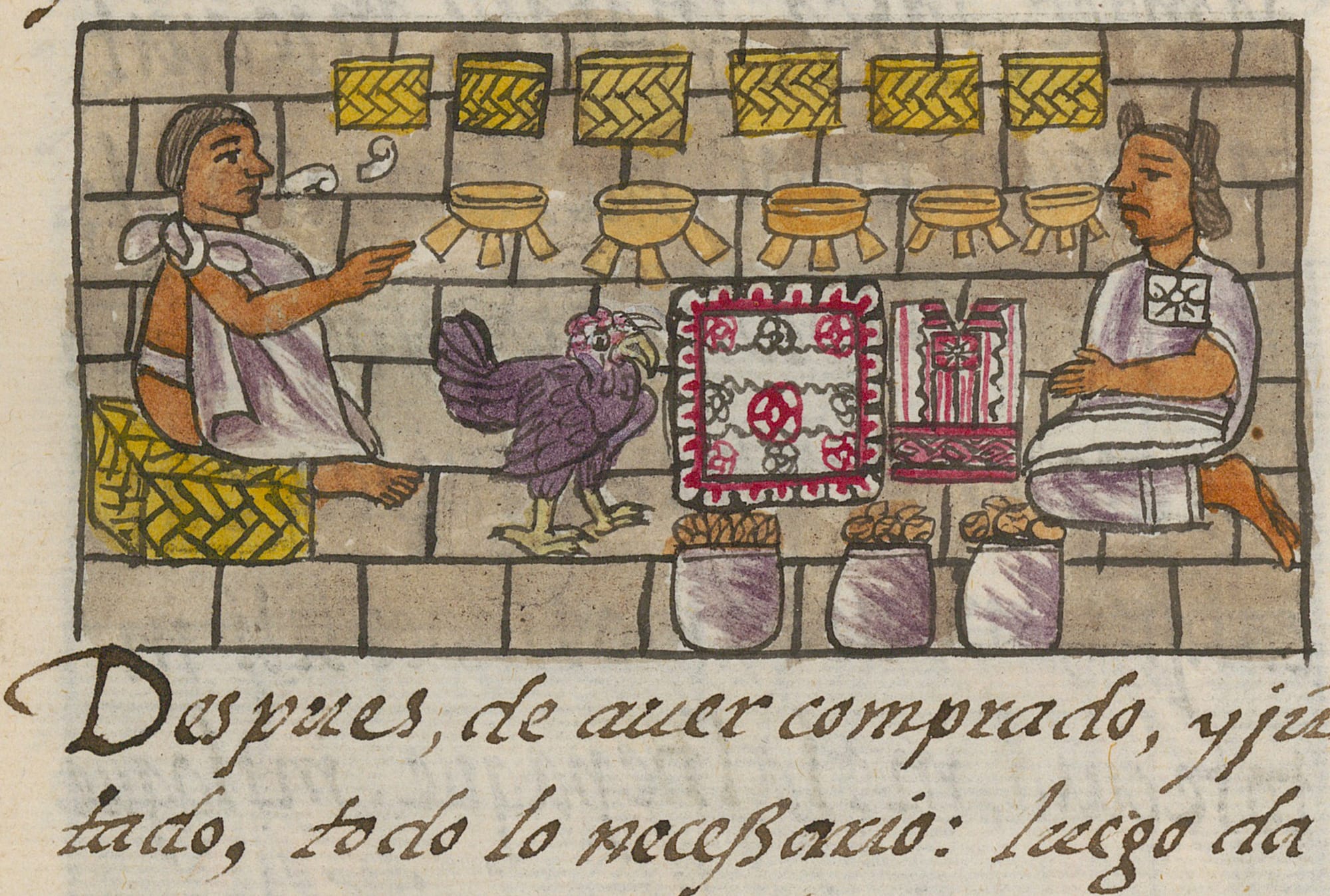 turkey image from Florentine Codex