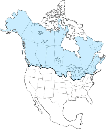 Pleistocene glaciation in North America