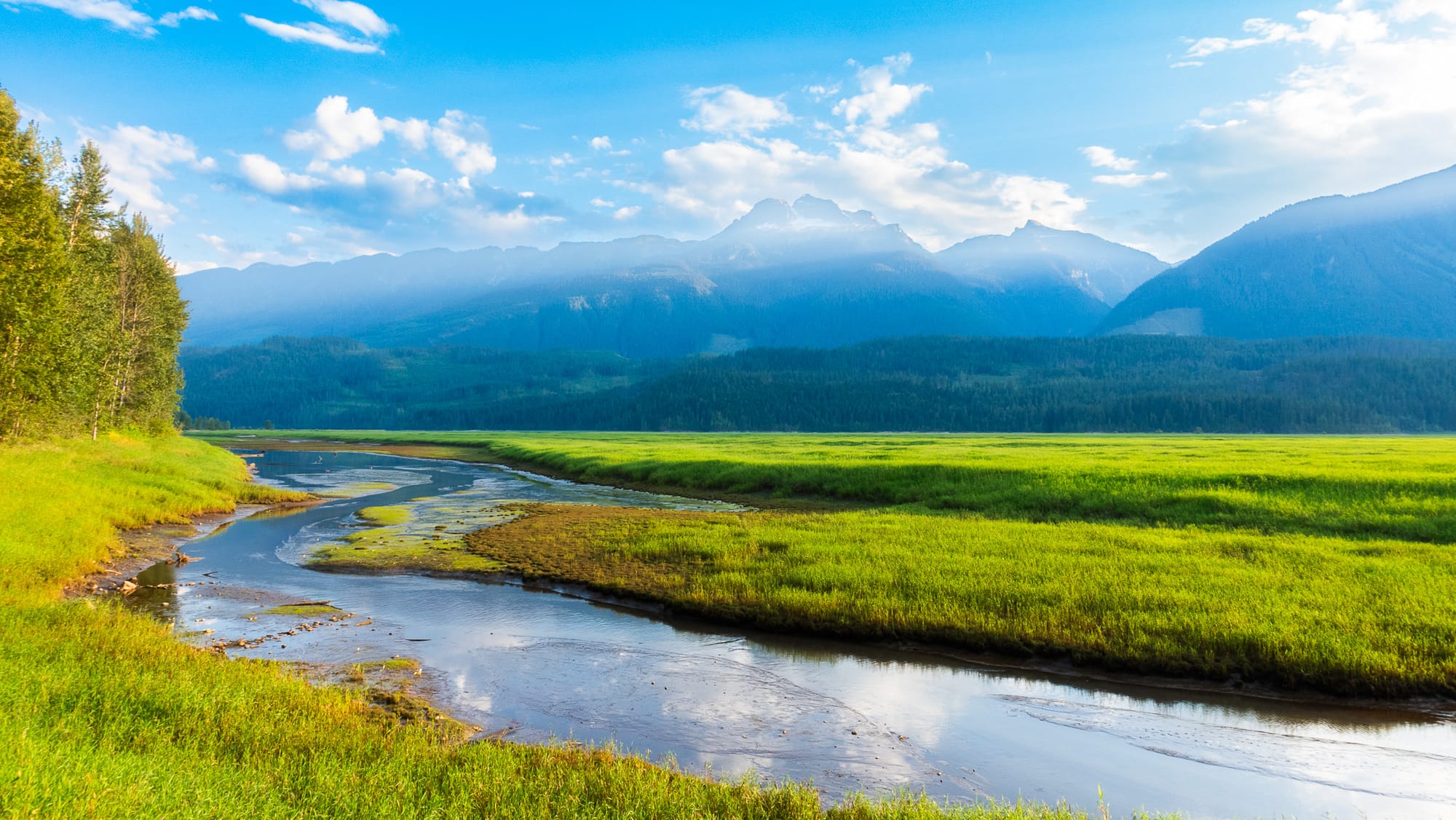 wetlands along Columbia River