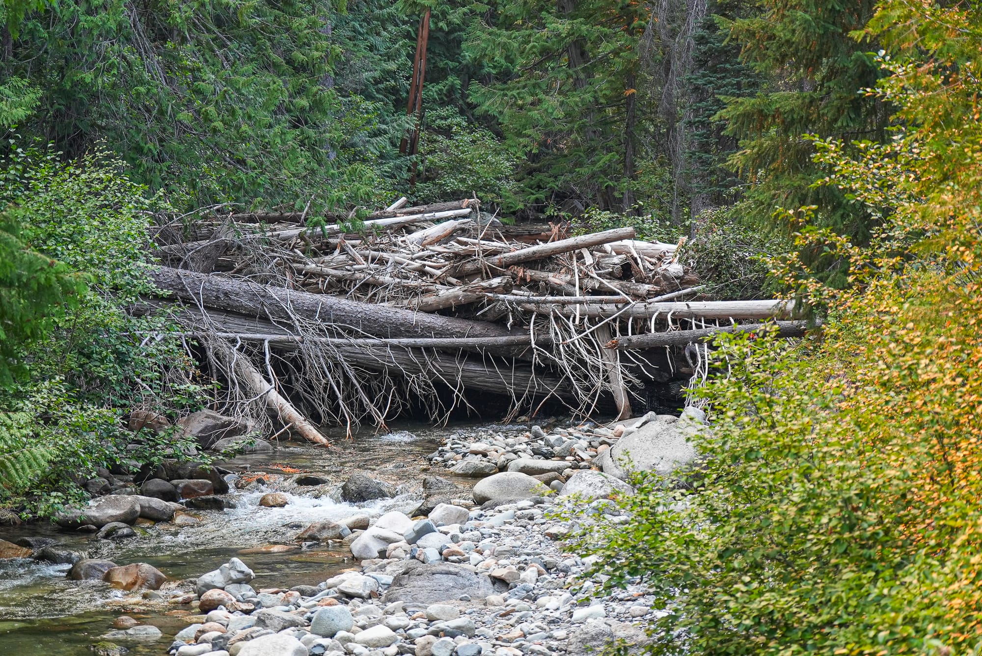 log jam in creek