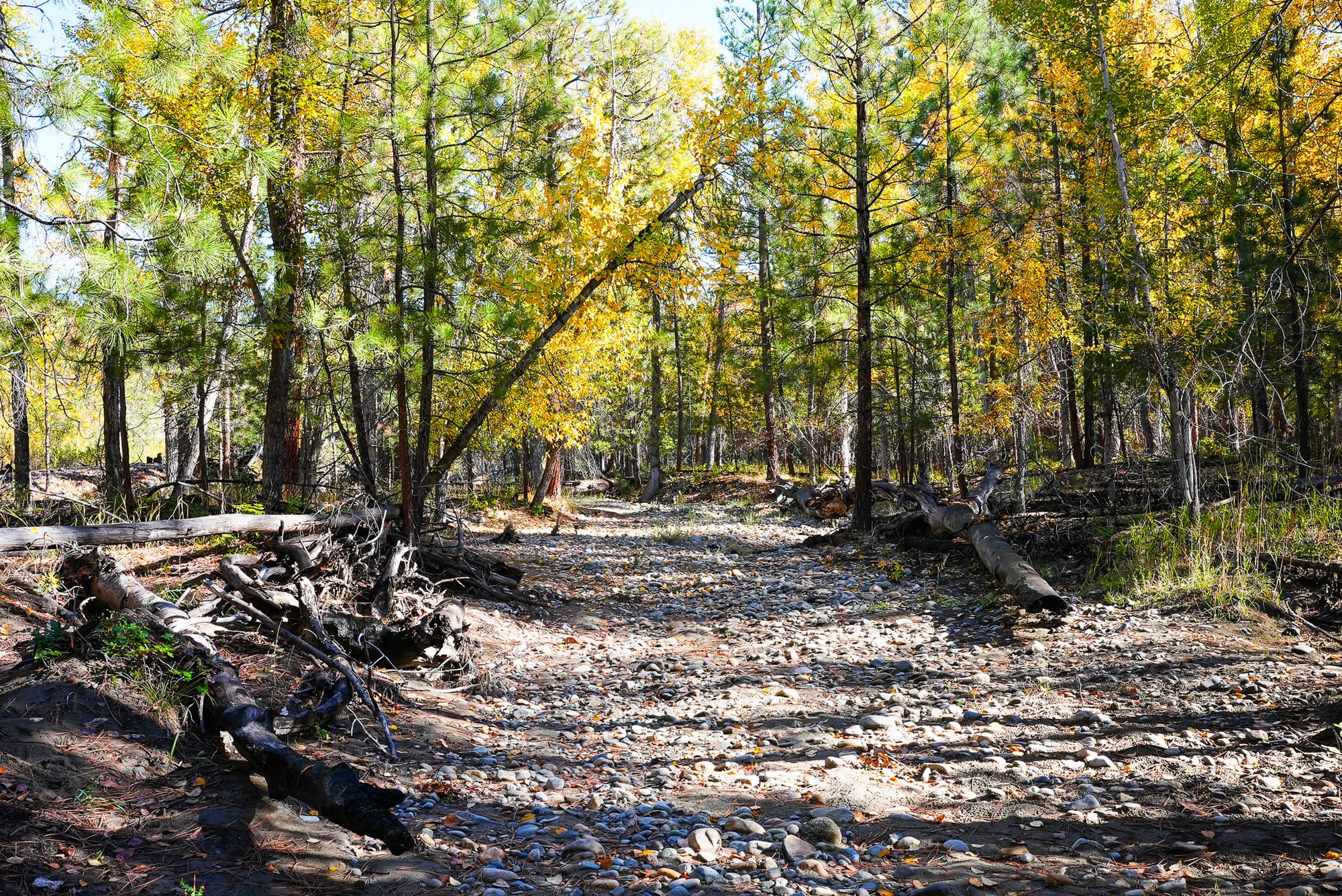 abandoned river channel 