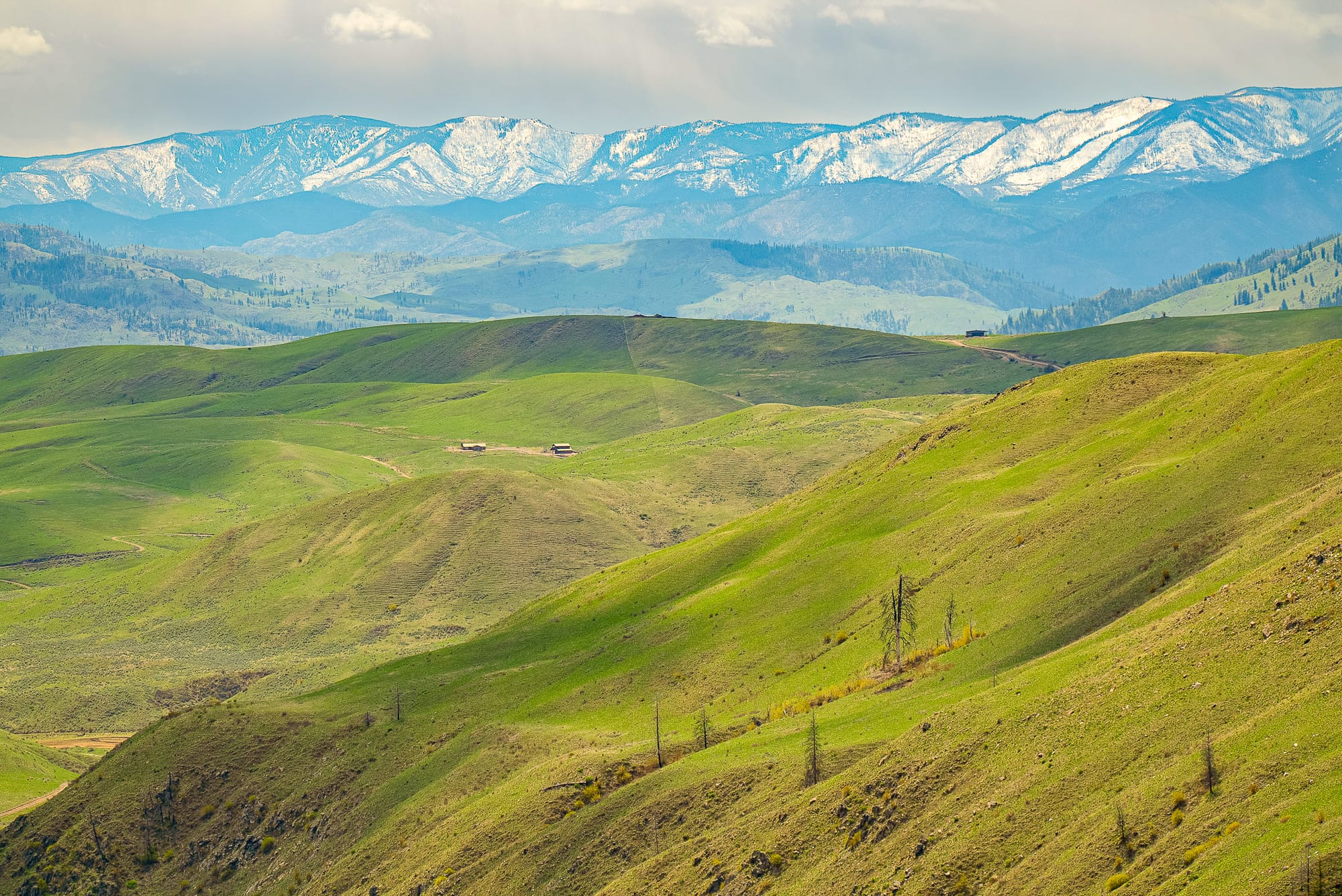 grassy hills