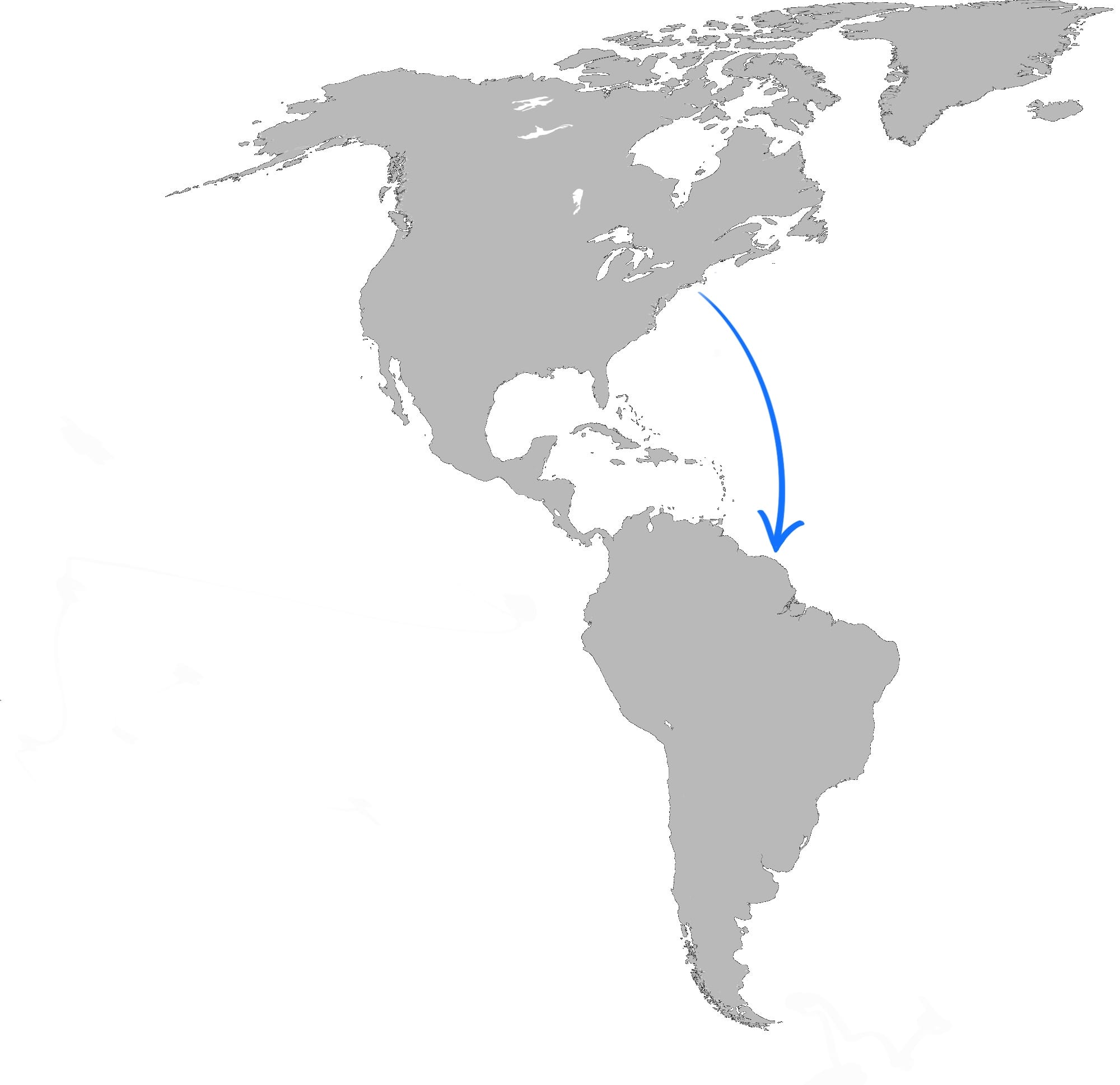 migration path for blackpoll warbler