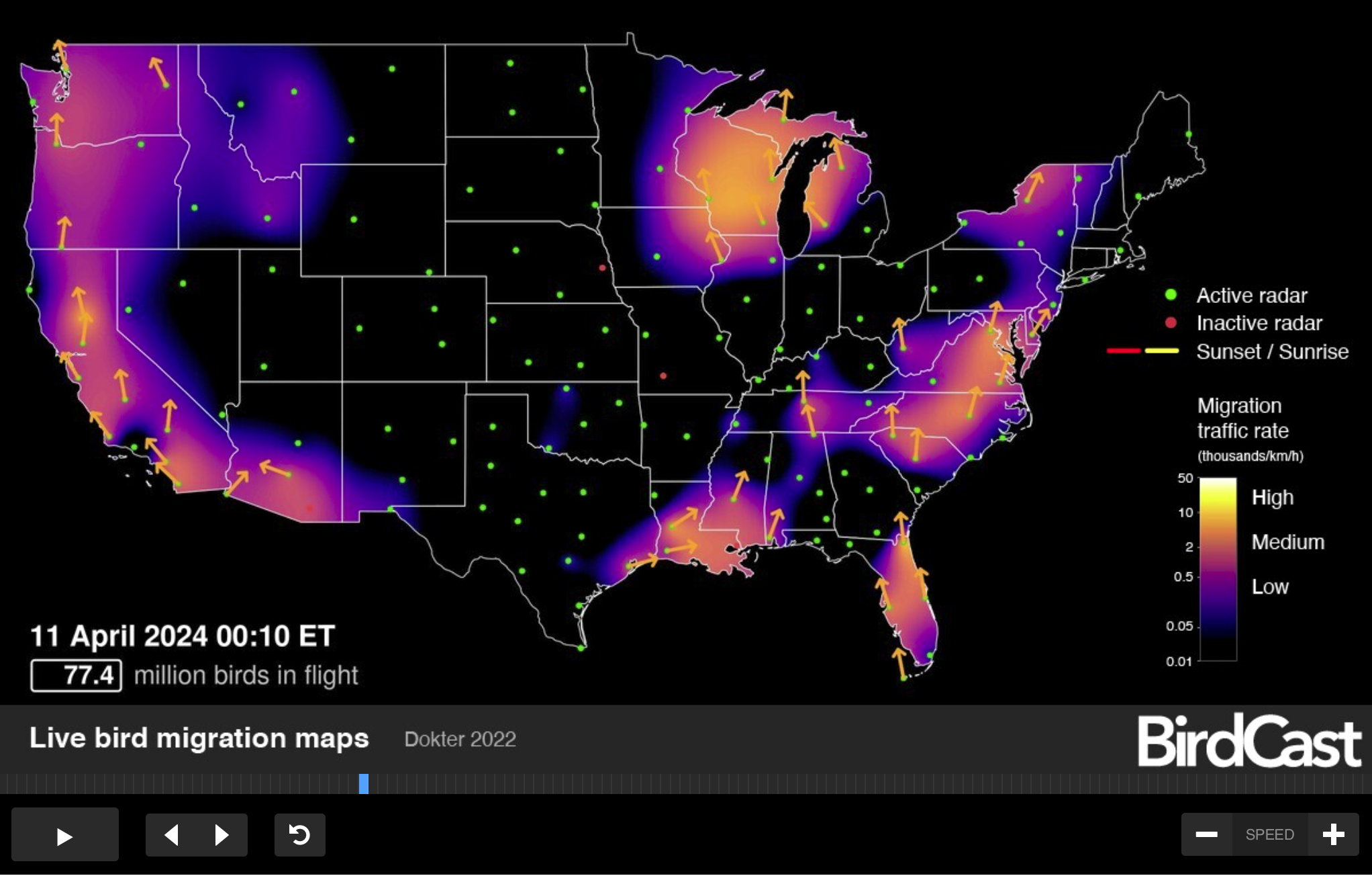 bird migration map