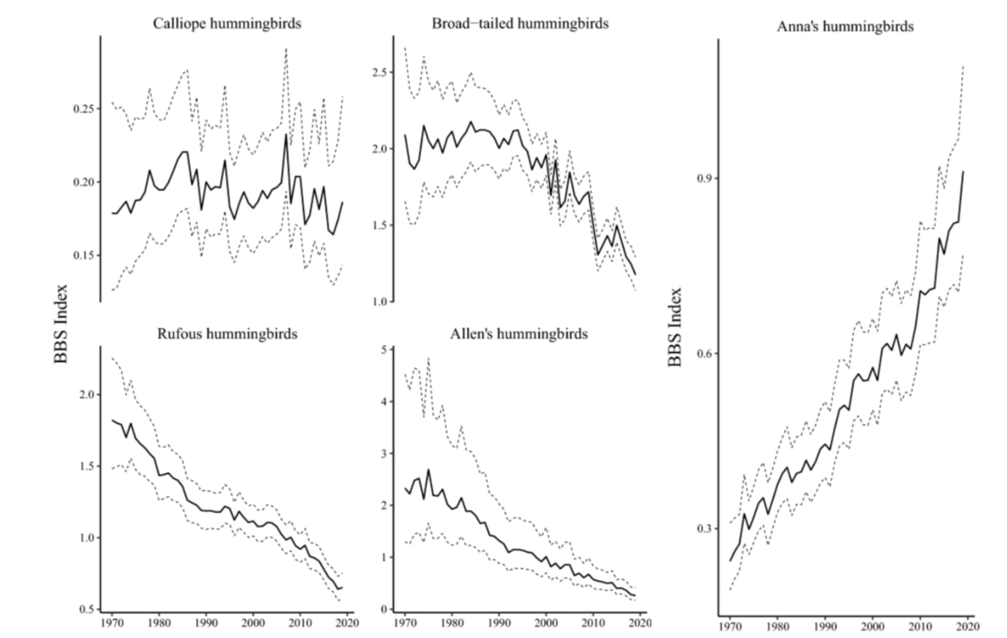 hummingbird population trends
