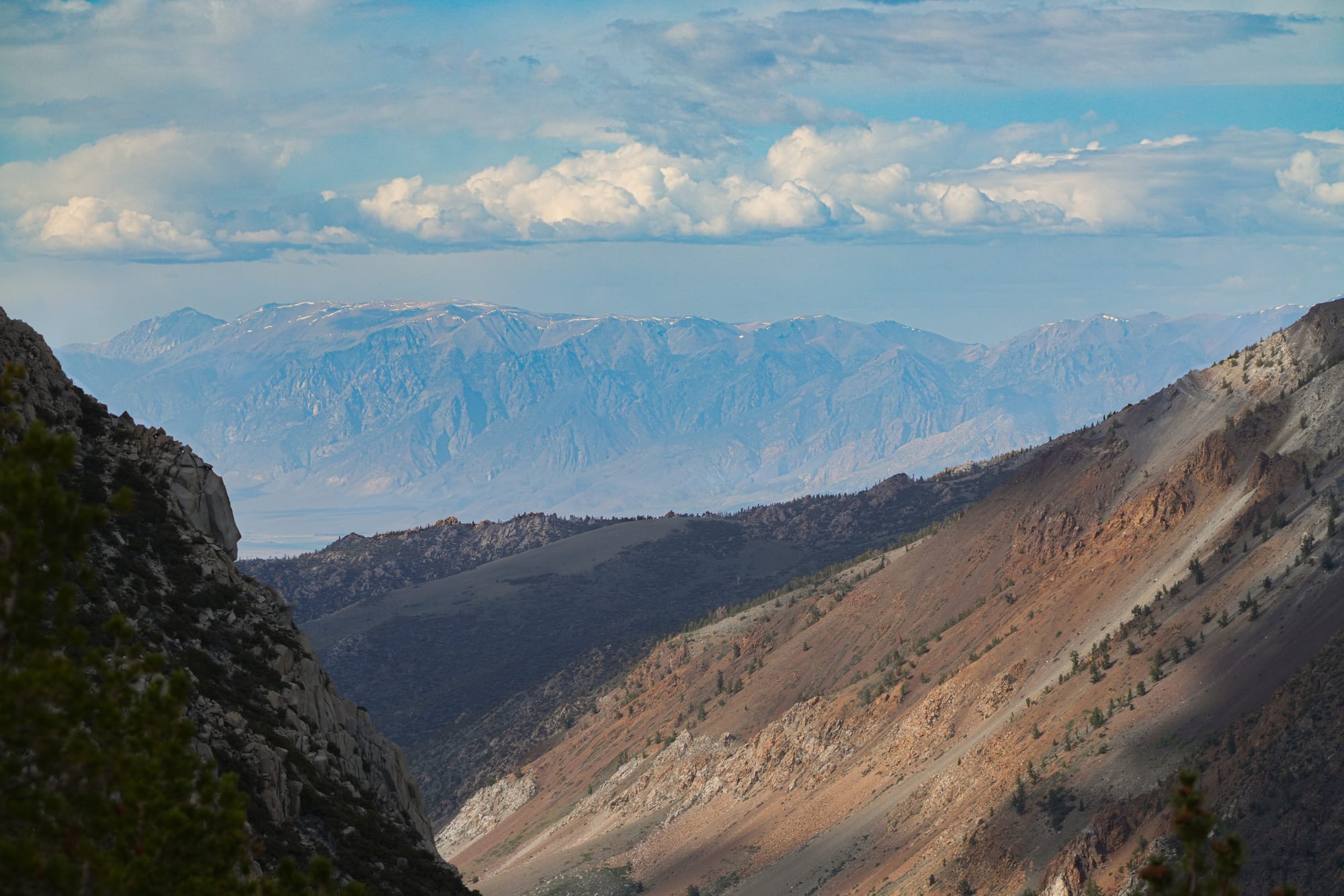 White Mountains