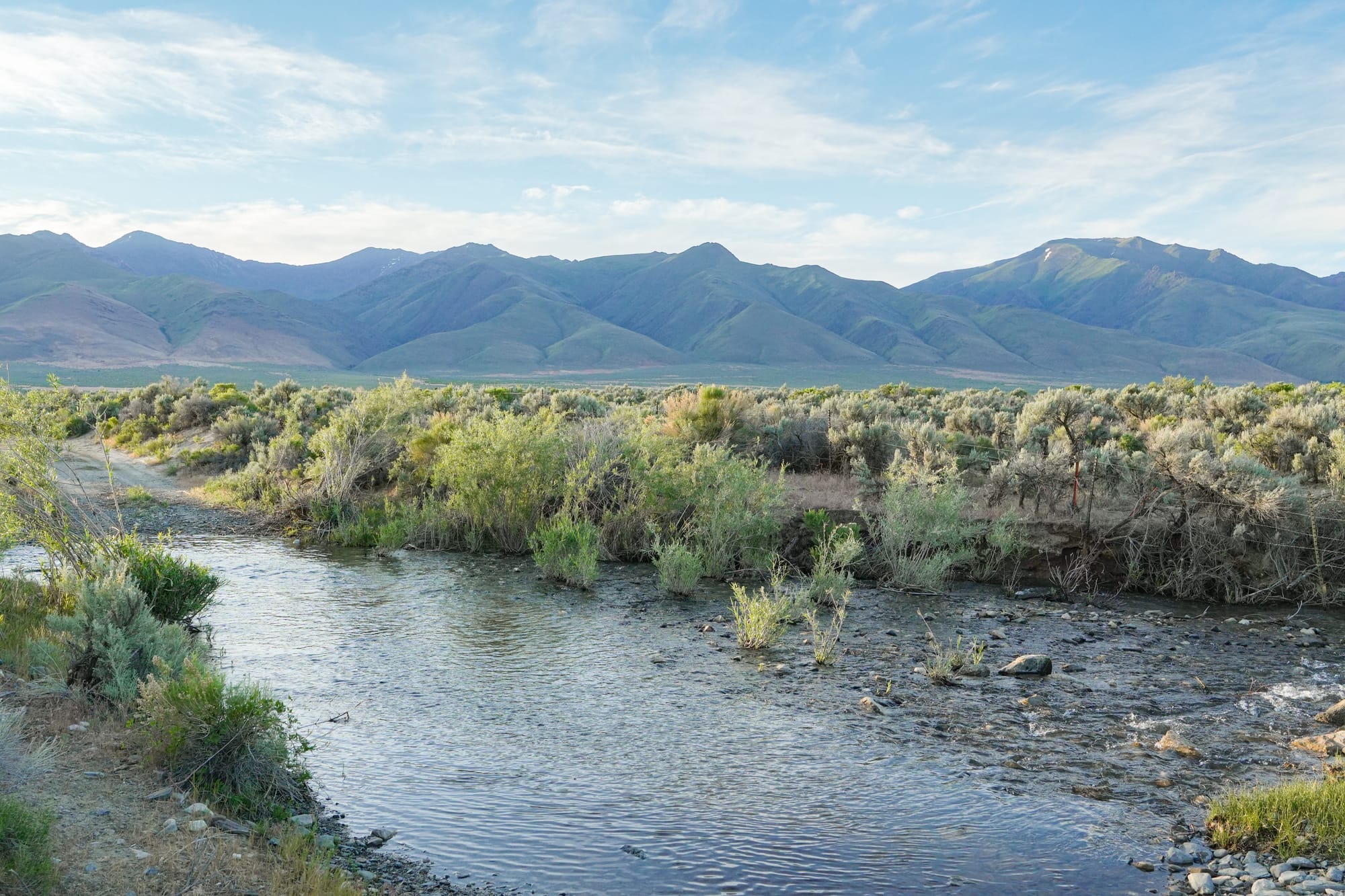Great Basin wilderness