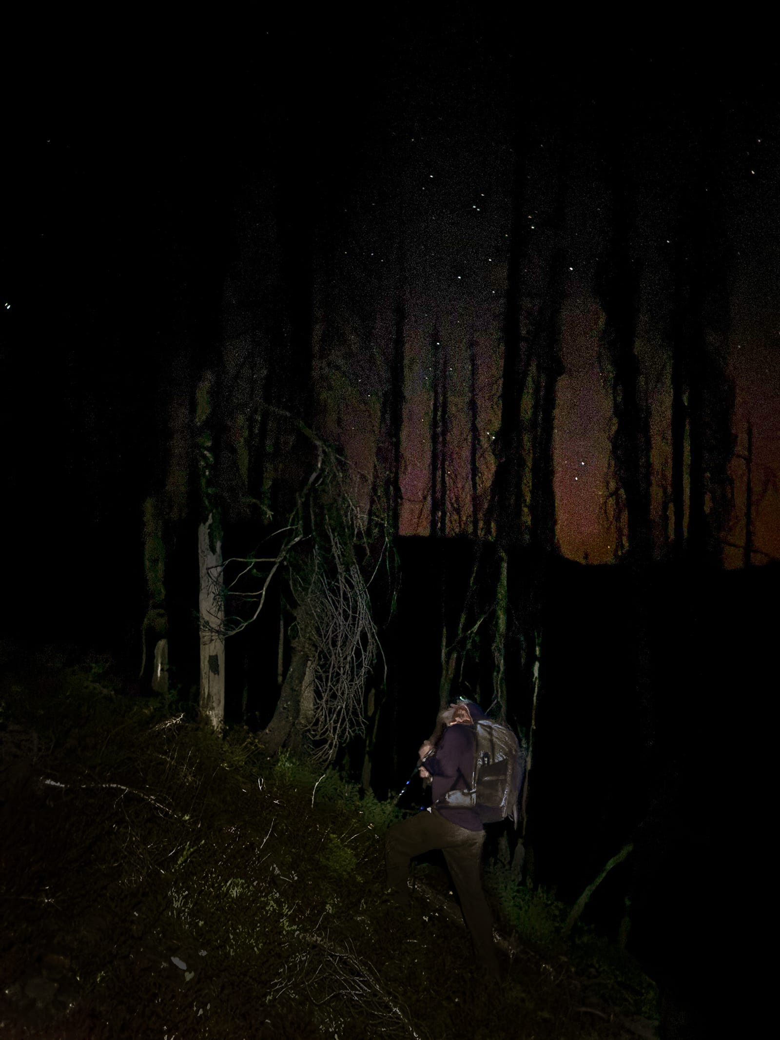 hiking in the dark