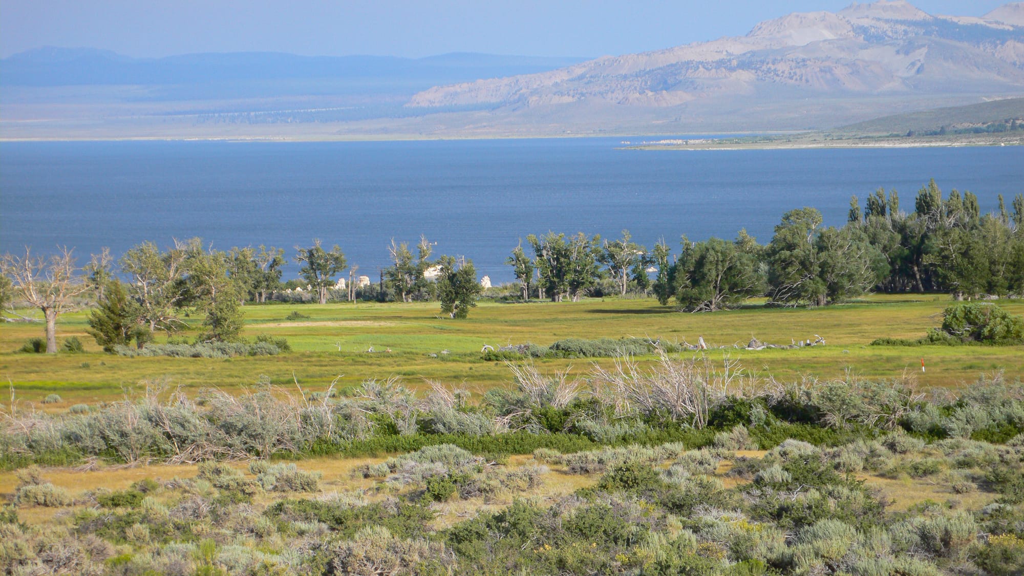 Mono Lake