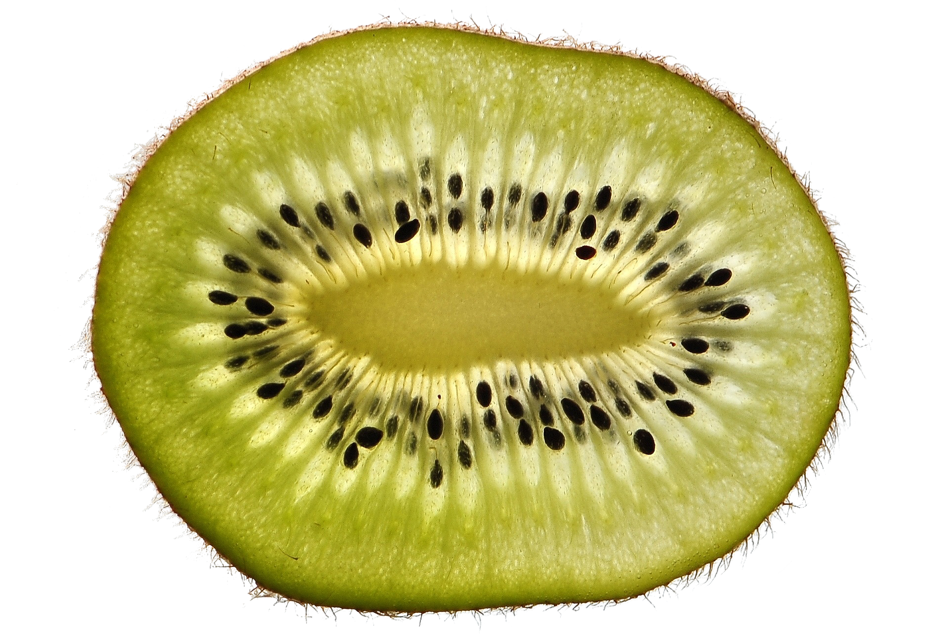What is a Fruit?