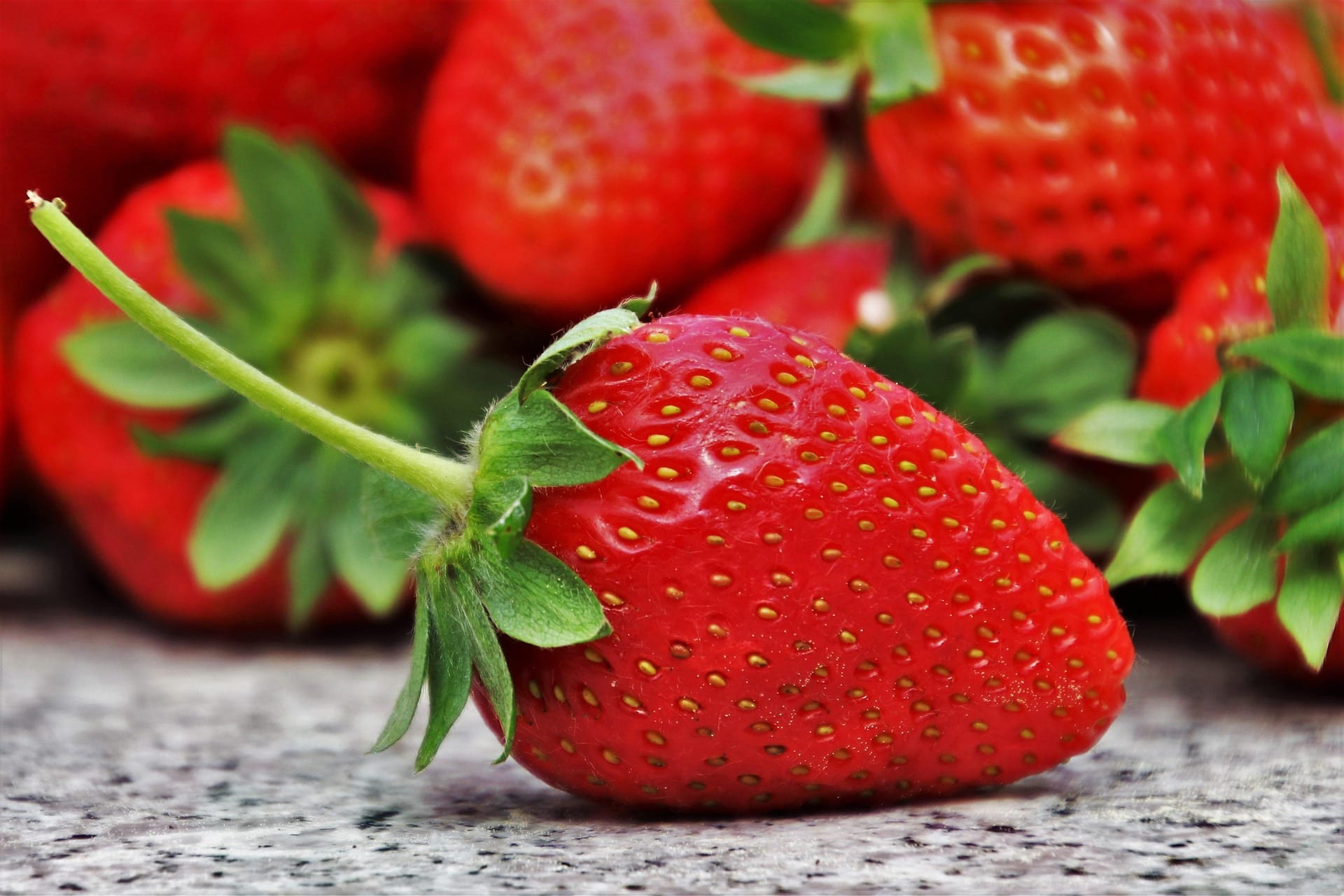 What is a Fruit?