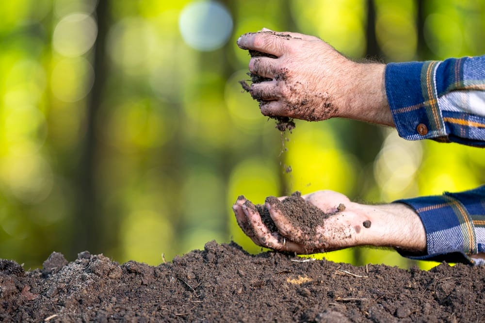 hands holding soil