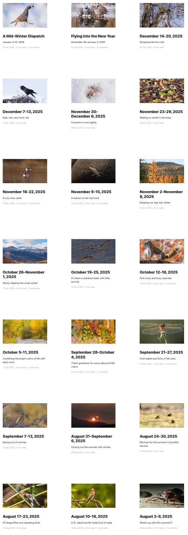 sample of newsletter posts