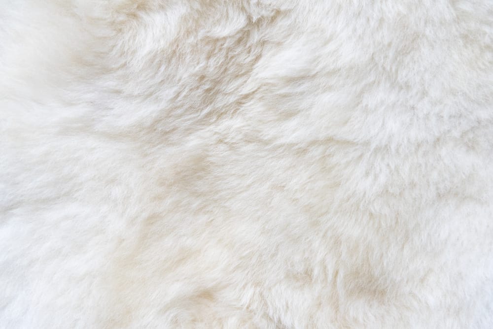 white fur