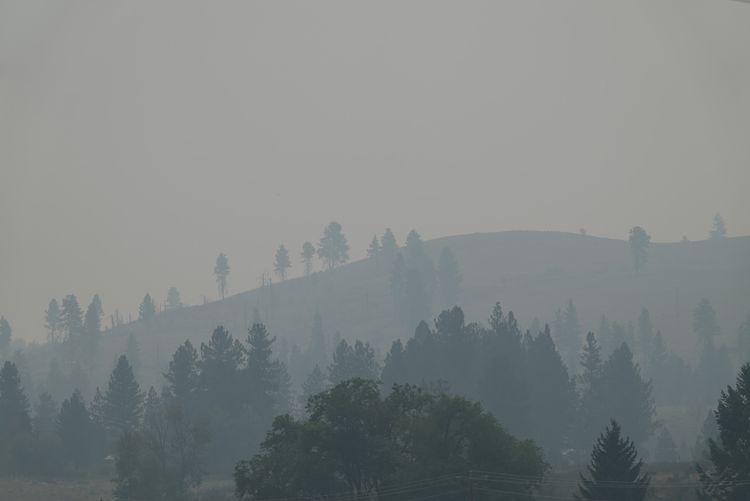 wildfire smoke