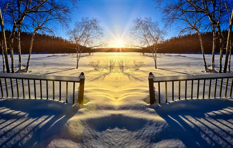 morning sun