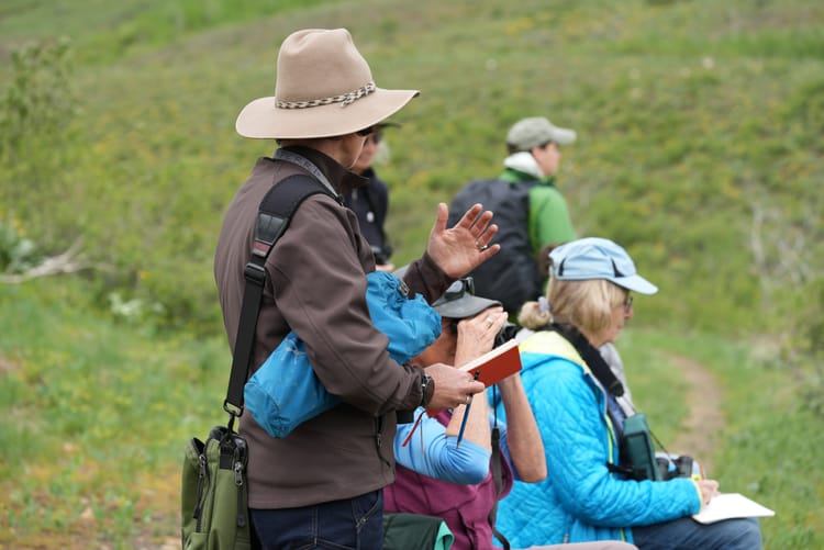 nature journaling workshop